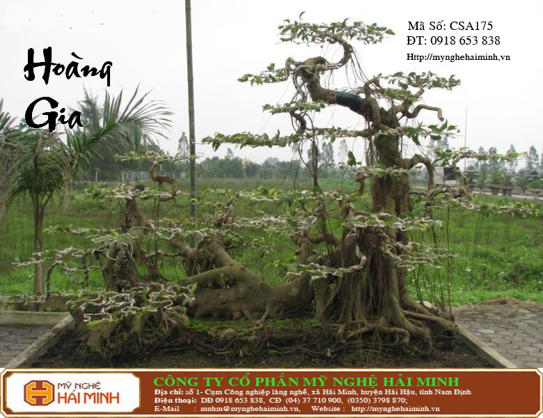 Do go my nghe Hai Minh - Hai Hau - Nam Dinh